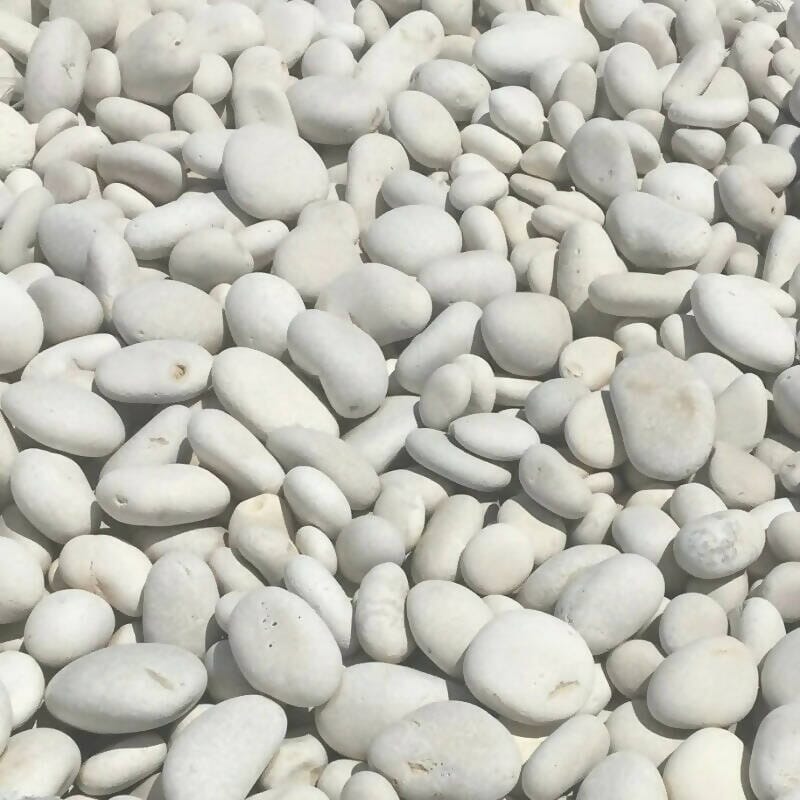 White Beach Pebbles - 40lb Consolidated Aggregates