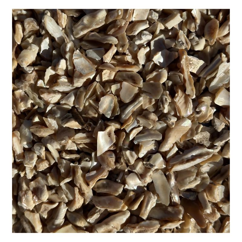 Pacific Mother of Pearl - Crushed Shell - 50lb Consolidated Aggregates #2 - (1/4" x 3/8" pieces)