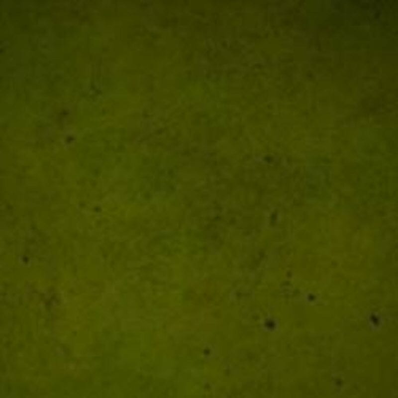 Ten Second Color - Acetone Dye - Concentrate Engrave-A-Crete 32 oz Evergreen