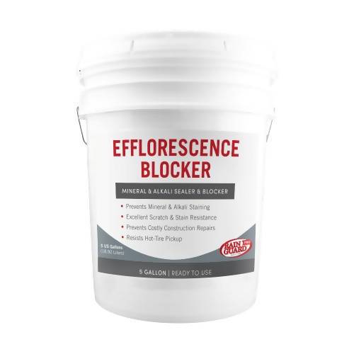 Semi-Satin Efflorescence Blocker Rainguard Pro 5 Gallons