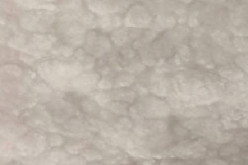 BDC Supply Shimmer Metallic Pigment Packs BDC Equipment & Rental 8 oz. White Steel