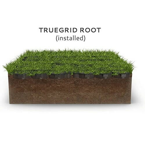 TrueGrid Root - TrueGrid Pavers TrueGrid