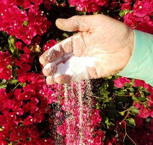 Sparkle Grain Finish System - Black or White - 16 or 36 Grit - 50 lbs Supplies Concrete Decor Store