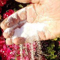 Sparkle Grain Finish System - Black or White - 16 or 36 Grit - 50 lbs Supplies Concrete Decor Store 36-grit White