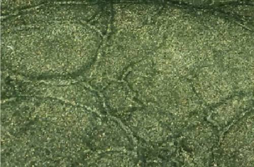 BDC Supply Shimmer Metallic Pigment Packs BDC Equipment & Rental 8 oz. Forest