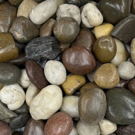 Polished Mixed Beach Pebbles - 30lb Consolidated Aggregates 