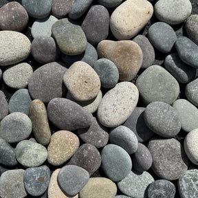 South American Mixed Beach Pebbles - 40lb Consolidated Aggregates 