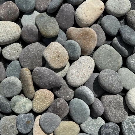 South American Mixed Beach Pebbles - 40lb Consolidated Aggregates 