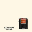 Colortec Acrylic LV Pigmented Outdoor Acrylic Sealer - Low VOC Surecrete 1 Gallon Caribbean Cream 