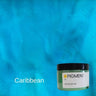 Torginol Pearlescent Pigment BDC Equipment & Rental Caribbean 16 oz 