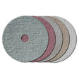 ShinePro Maintenance Pads - 5-Pack Concrete Polishing HQ 