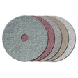 10.63" ShinePro Maintenance Pad - 5 Pack Concrete Polishing HQ 