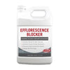 Semi-Satin Efflorescence Blocker Rainguard Pro 1 Gallon 