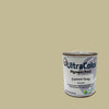 UltraColor Pigment Packs Ultra Durable Technologies Cement Gray 