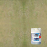 Bon True Etch - Acid Stain - 5 Gallons Supplies Bon Tool Seafoam Green 