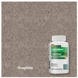 ColorHard - One-Step Color & Hardener for Concrete Floors - 4 oz Prosoco Graphite 