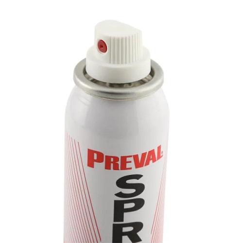 Preval 9 oz. Complete Spray Gun Tools Concrete Decor RoadShow 